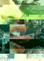 Diva_e_Donna2_461x630.jpg